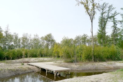 Im Naherholungsgebiet sprießt der Rasen schon - Bild 2