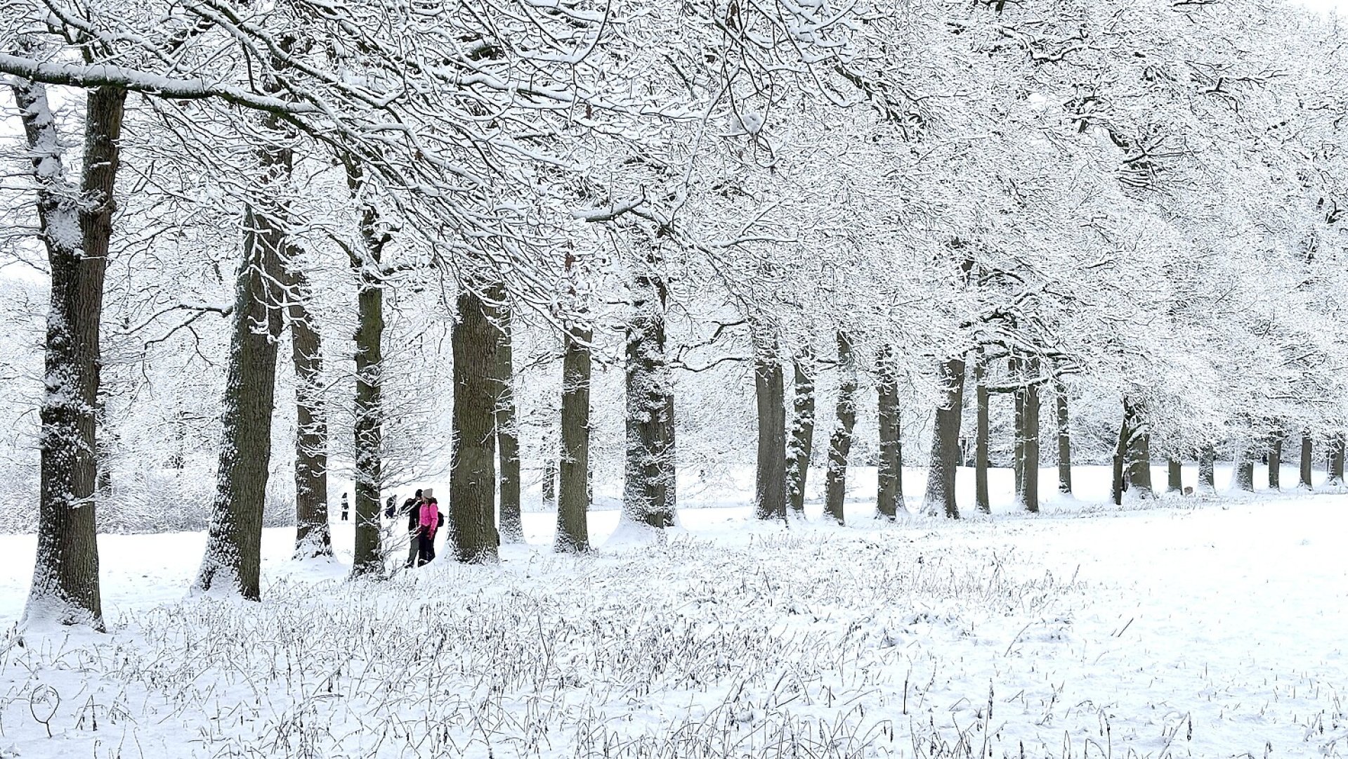 Schnee in Ostfriesland (Fotos der Redaktion) - Bild 1