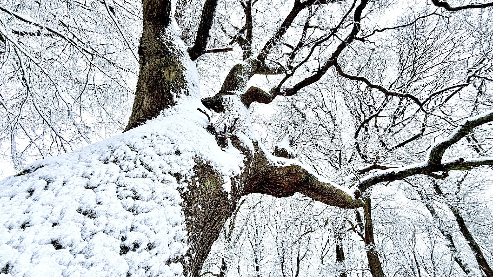 Schnee in Ostfriesland (Fotos der Redaktion) - Bild 4