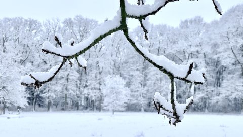 Schnee in Ostfriesland (Fotos der Redaktion) - Bild 8