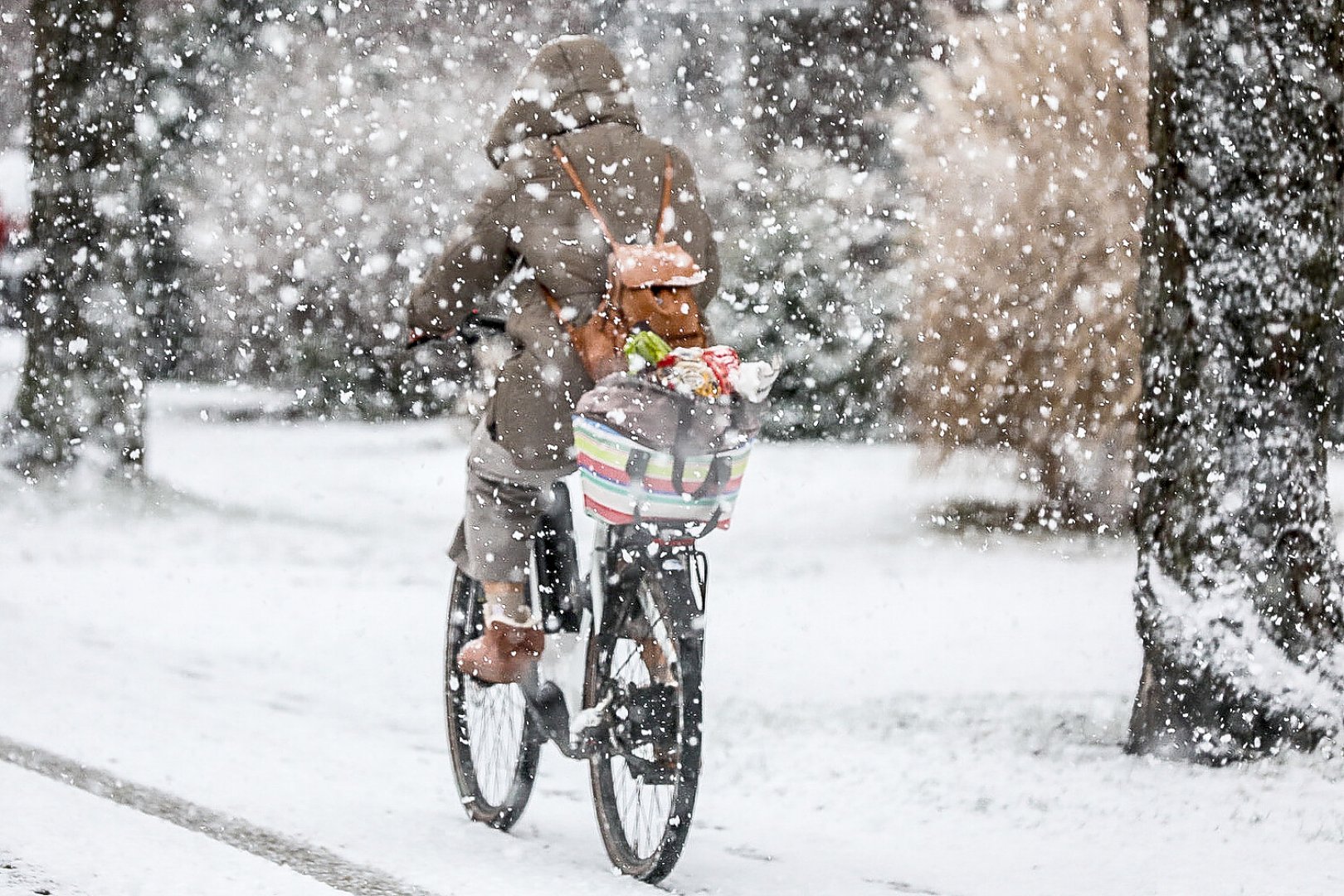 Schnee in Ostfriesland (Fotos der Redaktion) - Bild 11