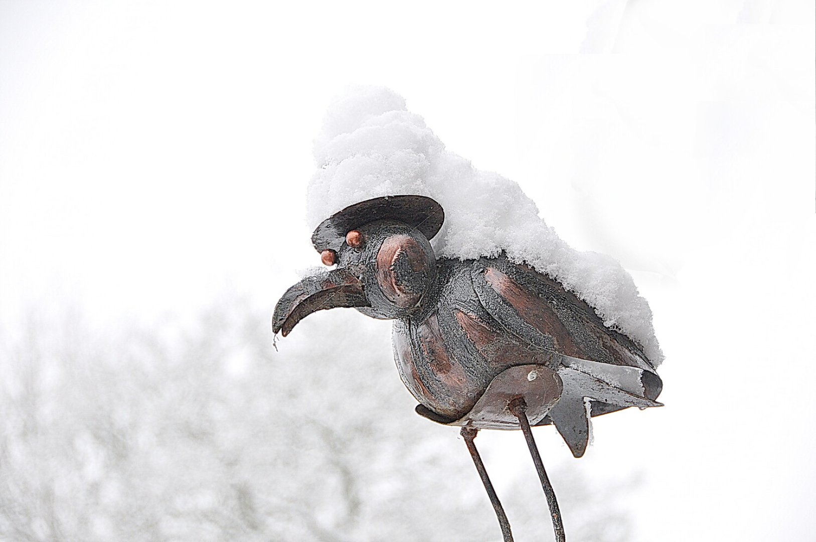 Schnee in Ostfriesland (Fotos der Redaktion) - Bild 60