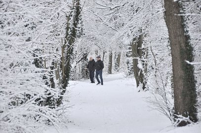 Schnee in Ostfriesland (Fotos der Redaktion) - Bild 61