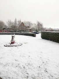 Schnee in Ostfriesland (Leserfotos, Teil 3) - Bild 23
