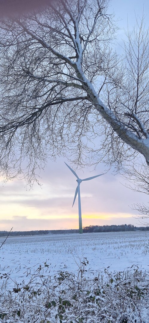 Schnee in Ostfriesland (Leserfotos, Teil 3) - Bild 39