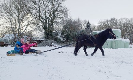 Schnee in Ostfriesland (Leserfotos, Teil 3) - Bild 42