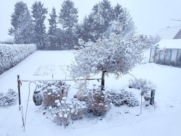 Schnee in Ostfriesland (Leserfotos, Teil 3) - Bild 60