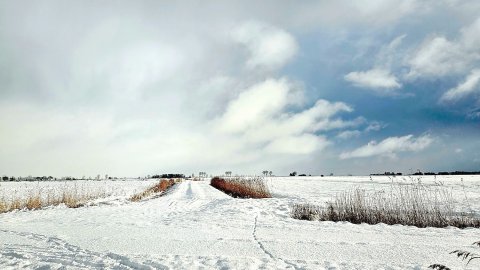 Schnee in Ostfriesland (Leserfotos, Teil 3) - Bild 65