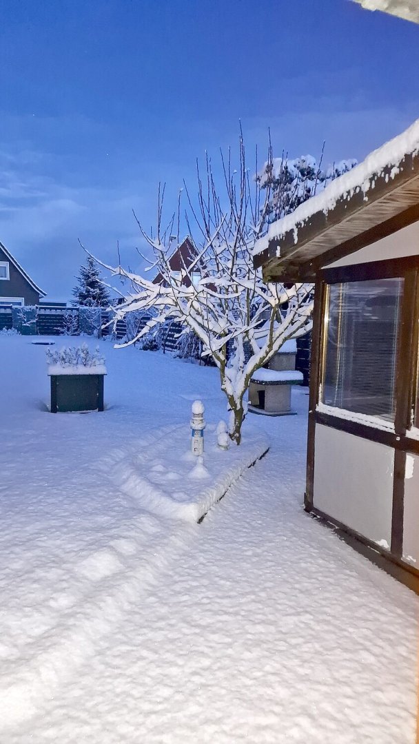 Schnee in Ostfriesland (Leserfotos, Teil 3) - Bild 4