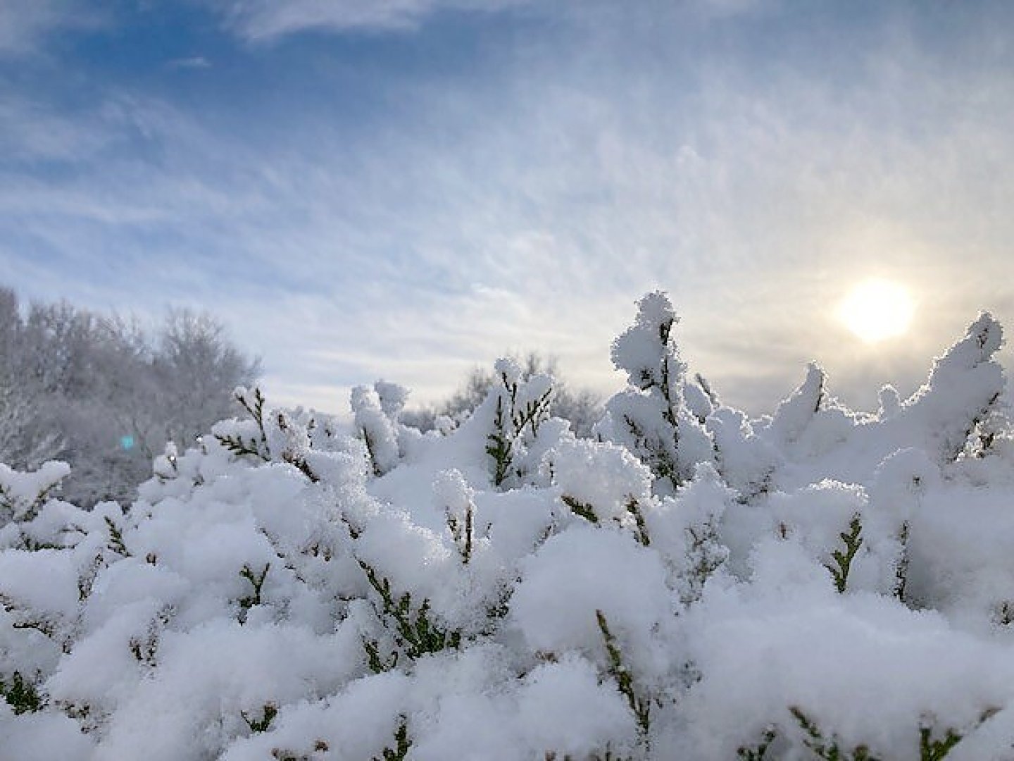 Schnee in Ostfriesland (Leserfotos, Teil 3) - Bild 6