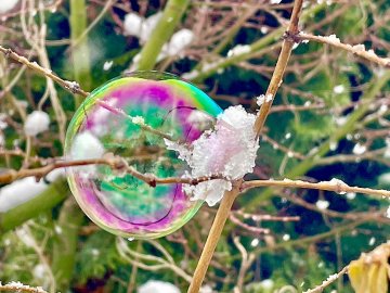 Schnee in Ostfriesland (Leserfotos, Teil 3) - Bild 51