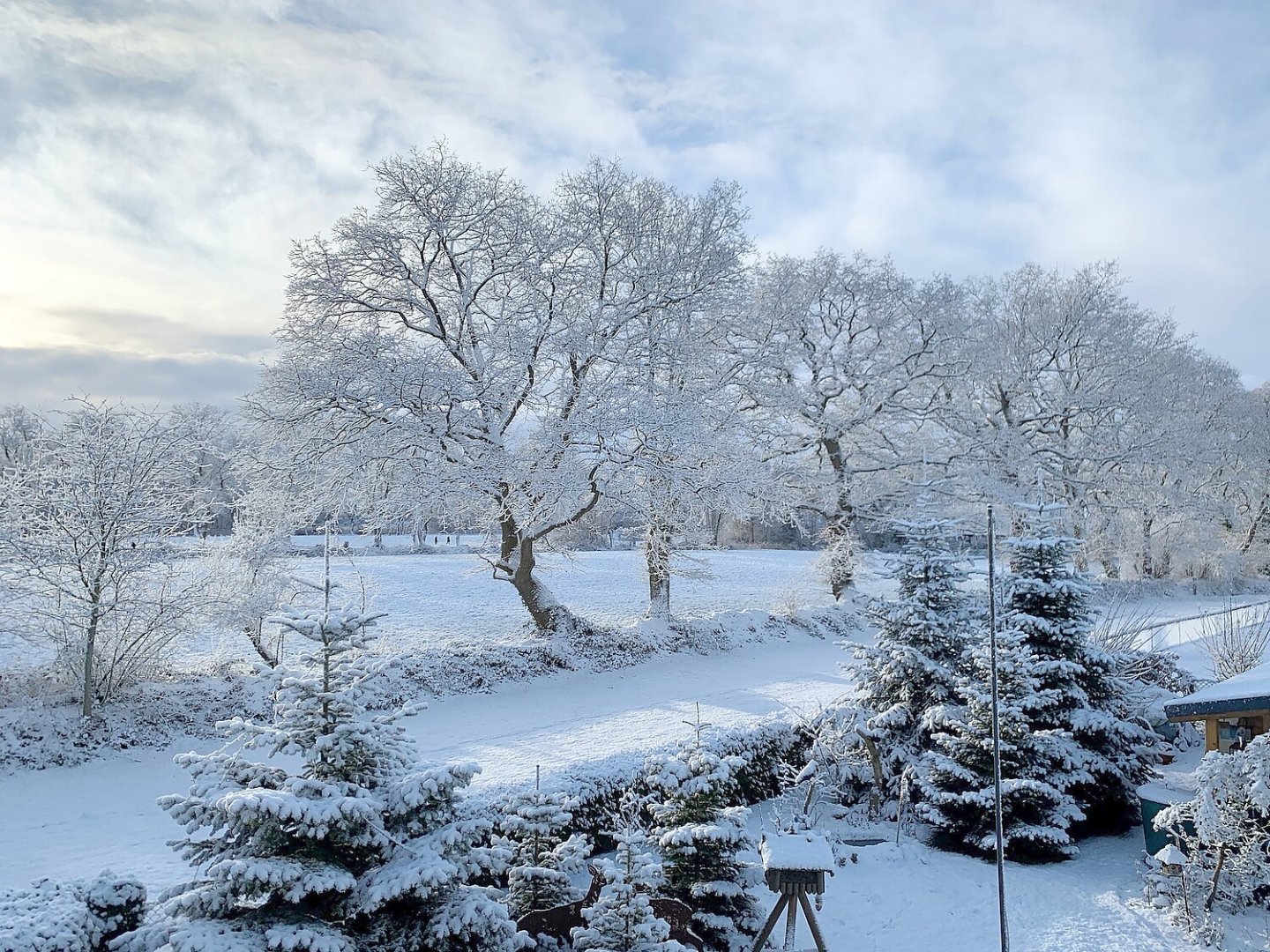 Schnee in Ostfriesland (Leserfotos, Teil 3) - Bild 57