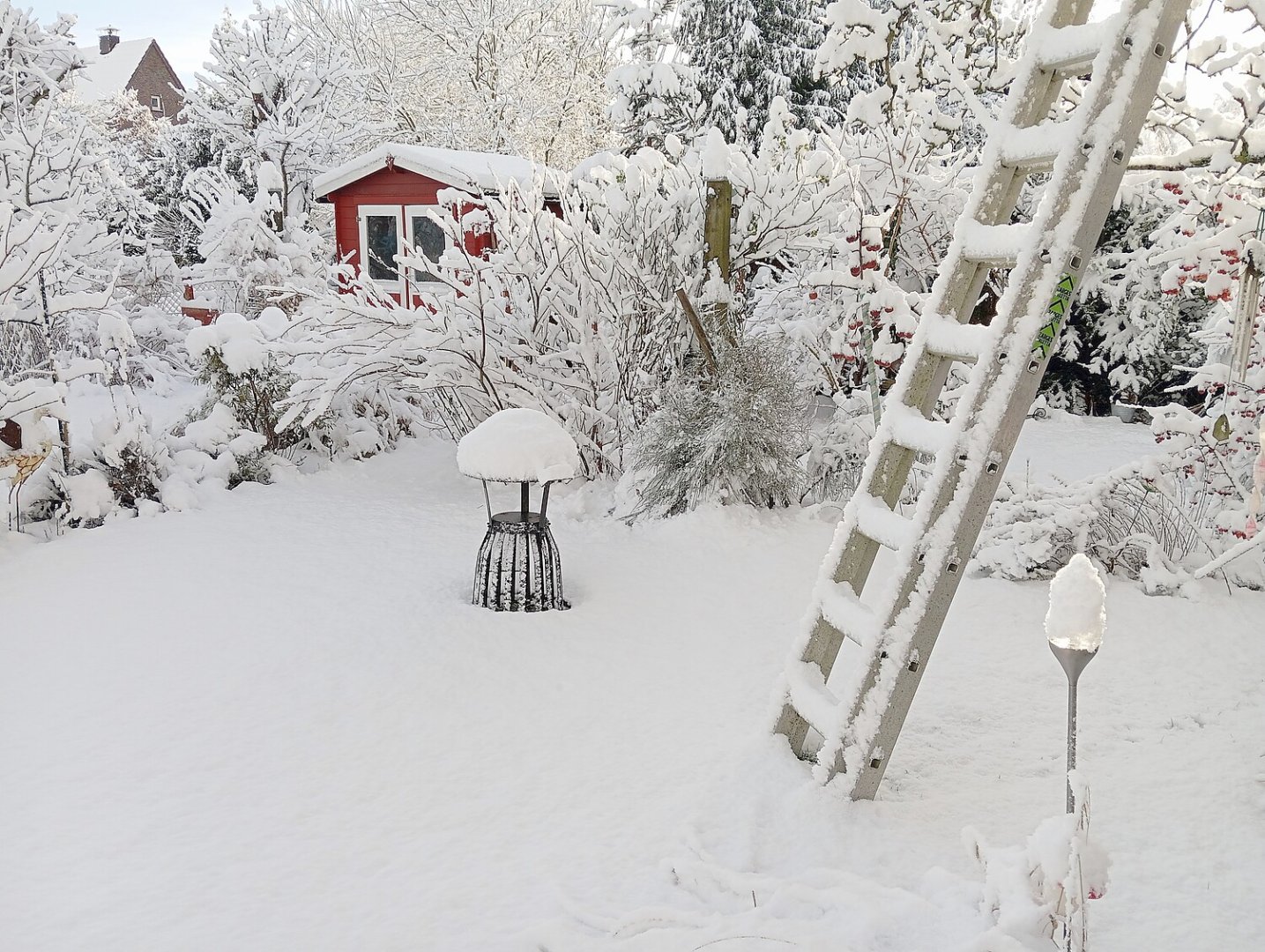 Schnee in Ostfriesland (Leserfotos, Teil 3) - Bild 66