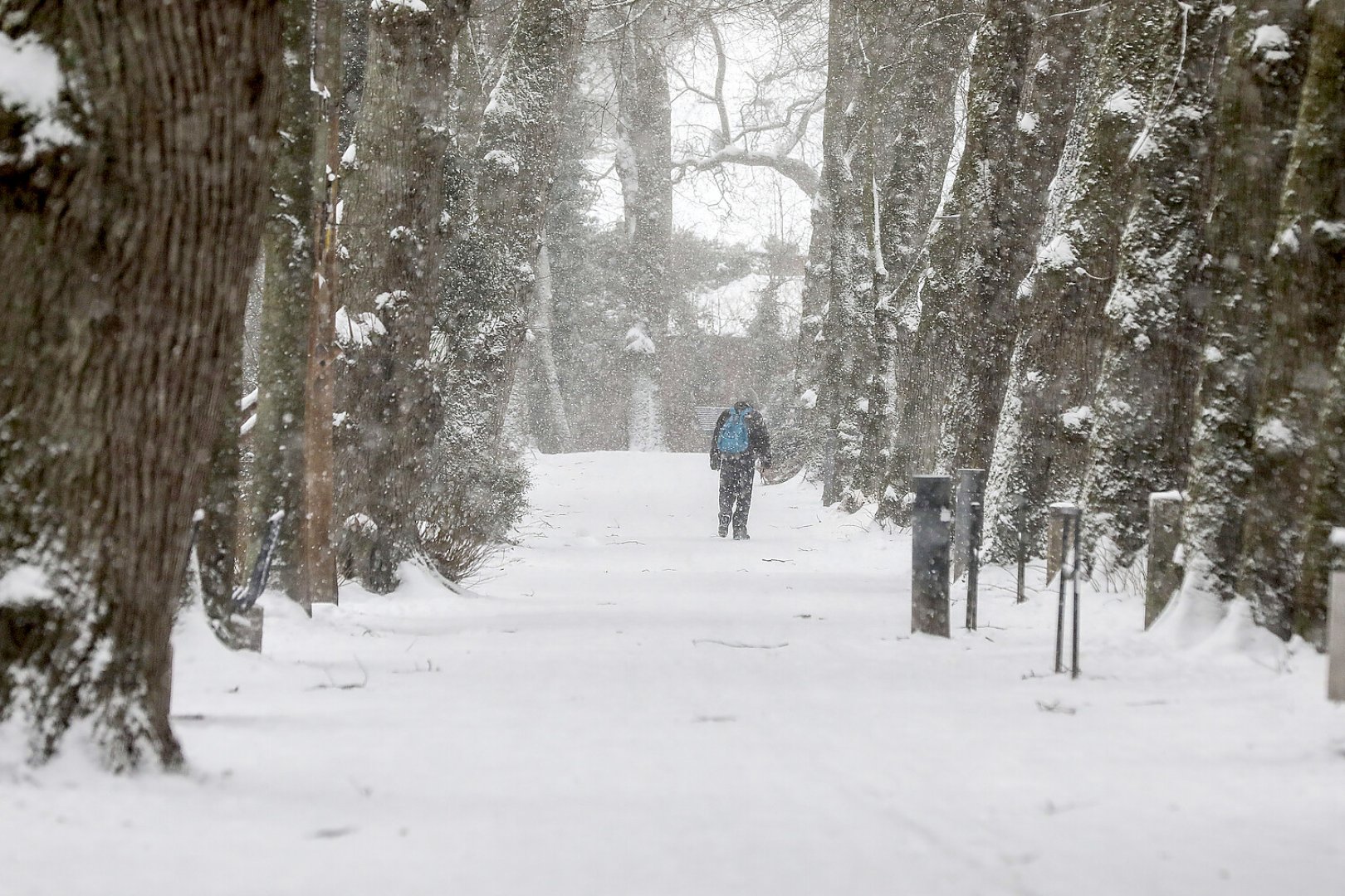 Schneetag in Aurich - Bild 3