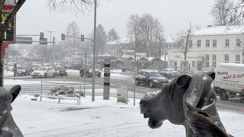 Schneetag in Aurich - Bild 12