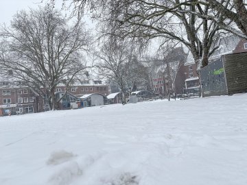 Schneetag in Emden - Bild 5