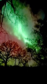 Polarlichter am Himmel über Ostfriesland  - Bild 6