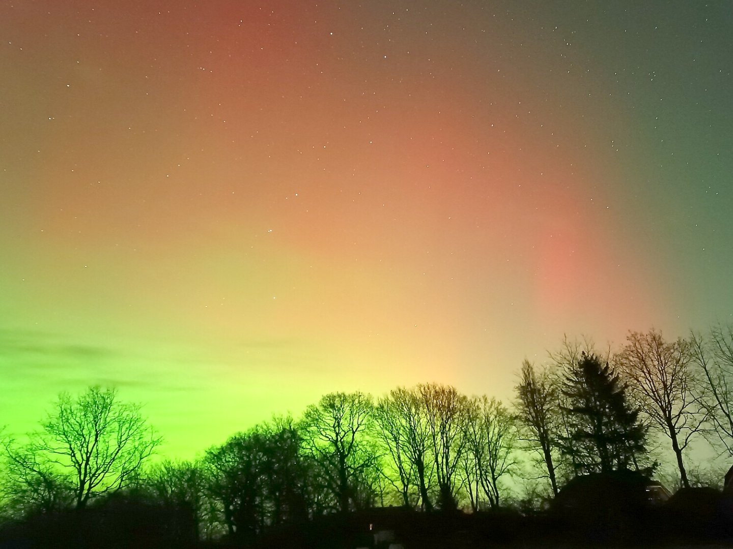 Polarlichter am Himmel über Ostfriesland  - Bild 15