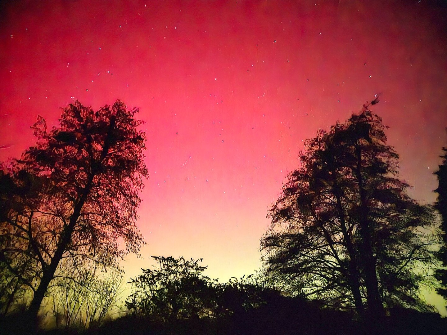 Polarlichter am Himmel über Ostfriesland  - Bild 37