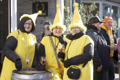 Bildergalerie Pappnasenball - Bild 8