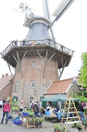 Mühlentag im Landkreis Leer - Bild 4