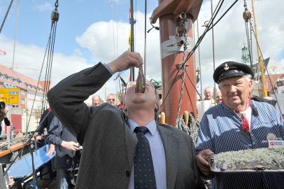 Matjestage in Emden - Bild 4