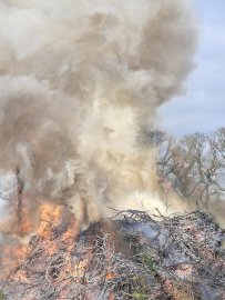 Osterfeuer 2026 – die Fotos der Leser - Bild 2