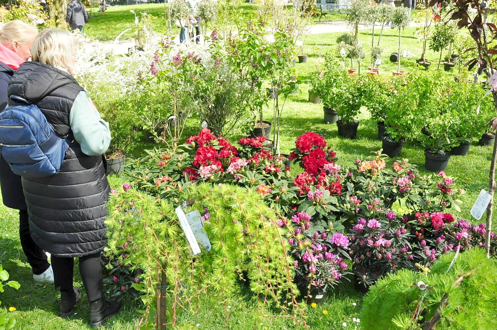 Fotos vom Frühlingsmarkt an der Evenburg in Leer - Bild 1