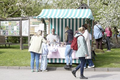 Pflanzenbörse im Ökowerk Emden - Bild 4