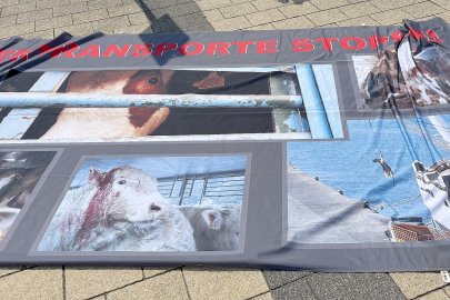 Demonstration in Aurich gegen Tiertransporte - Bild 3