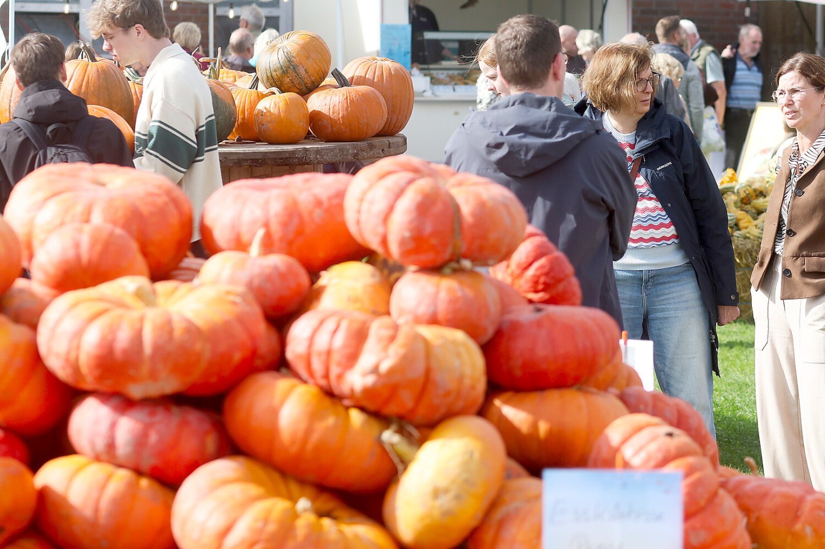 Kürbismarkt bei Albert Ohling lockt Hunderte - Bild 1