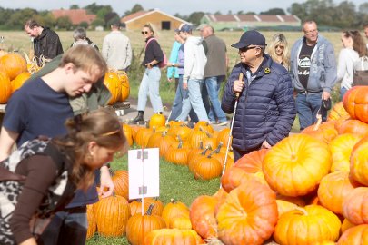 Kürbismarkt bei Albert Ohling lockt Hunderte - Bild 2