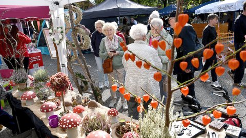 Appeldag up’t Fehn - Bild 2