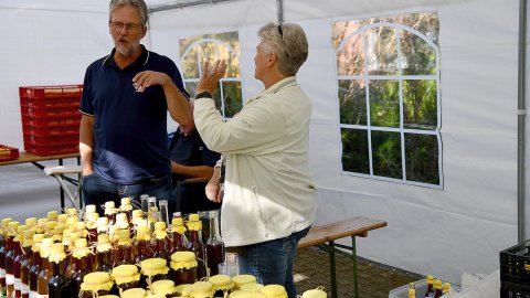 Appeldag up’t Fehn - Bild 3