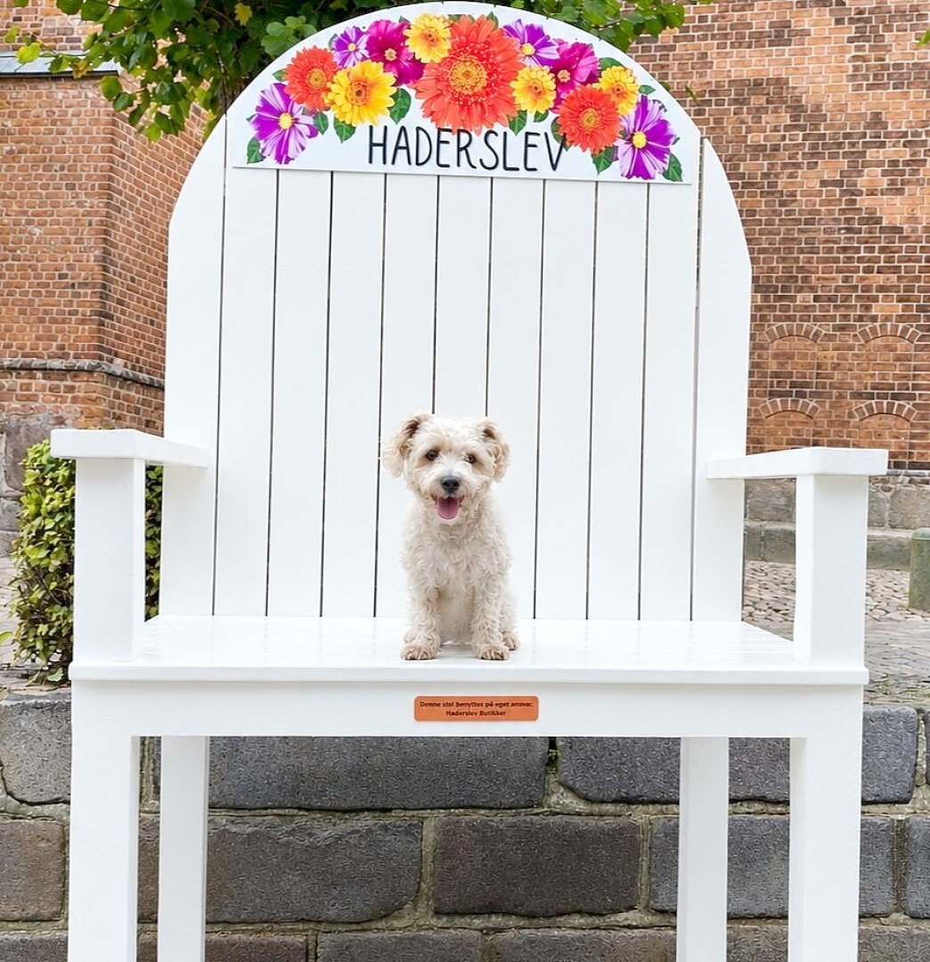 Die schönsten Hunde-Fotos aus Ostfriesland (Galerie II) - Bild 14