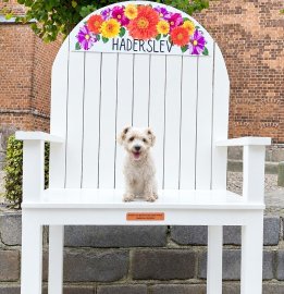 Die schönsten Hunde-Fotos aus Ostfriesland (Galerie II) - Bild 14