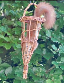 Leser-Fotos von Eichhörnchen - Bild 2