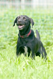 Tierheim Aurich - Bild 2