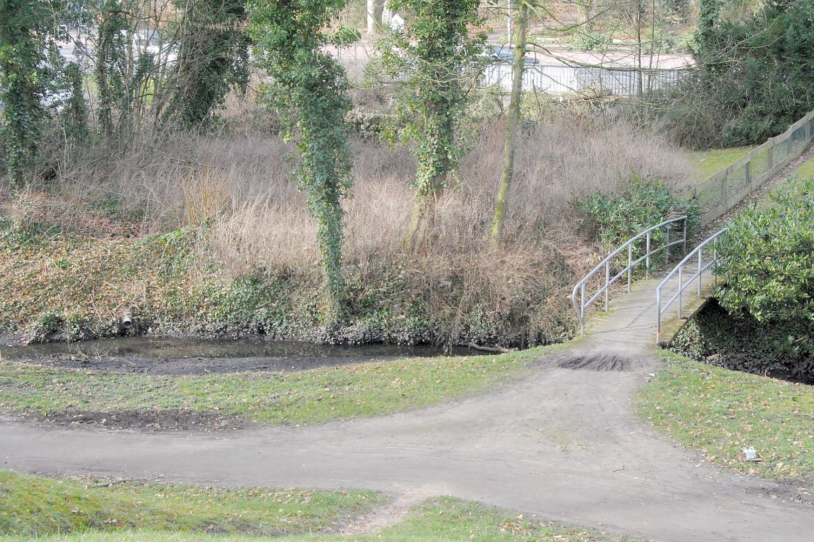Die Kettensäge kreist am Hohen Wall - Bild 2