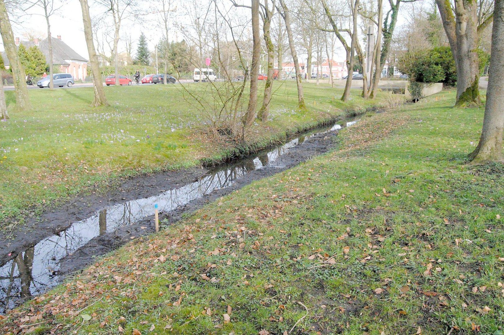 Die Kettensäge kreist am Hohen Wall - Bild 4