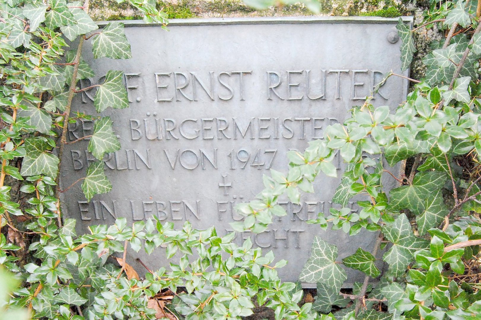Die Kettensäge kreist am Hohen Wall - Bild 5
