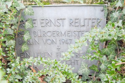 Die Kettensäge kreist am Hohen Wall - Bild 5