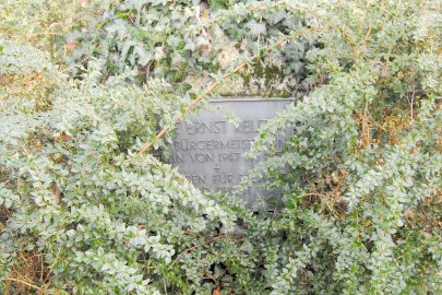 Die Kettensäge kreist am Hohen Wall - Bild 6
