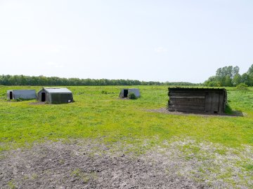 Schweinefreunde hoffen auf Unterstützung - Bild 4