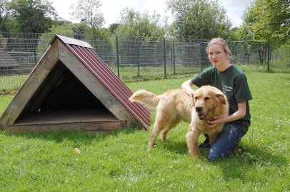 Tag der offenen Tür im Tierheim Aurich - Bild 2