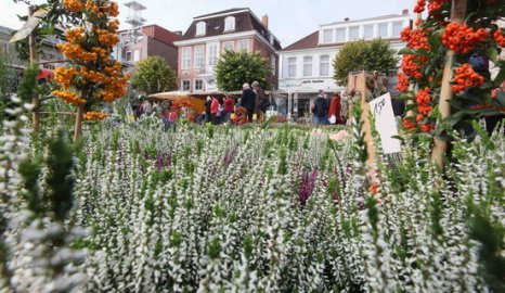 Heidemarkt in Aurich - Bild 3