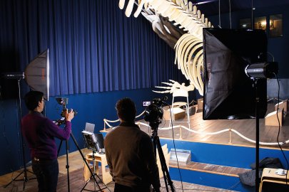 Neues Online-TV-Format aus Norddeich - Bild 3