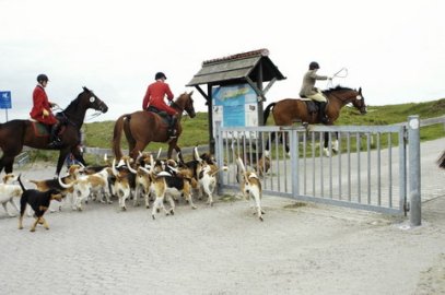 Jagdreiterwoche auf Norderney - Bild 4