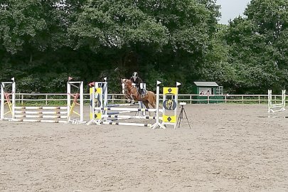 Reitturnier der Siebenberger Strolche - Bild 4