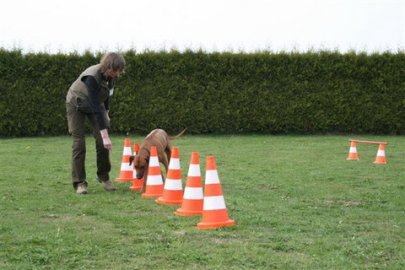 Mobyclass-Turnier des Pudelclubs - Bild 4